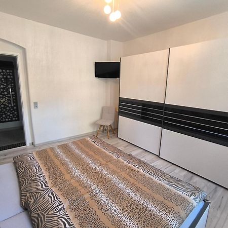 Hochwertige Ferienwohnung/Zentrumsnahe Lage! Райхенбах-им-Фогтланд Екстериор снимка