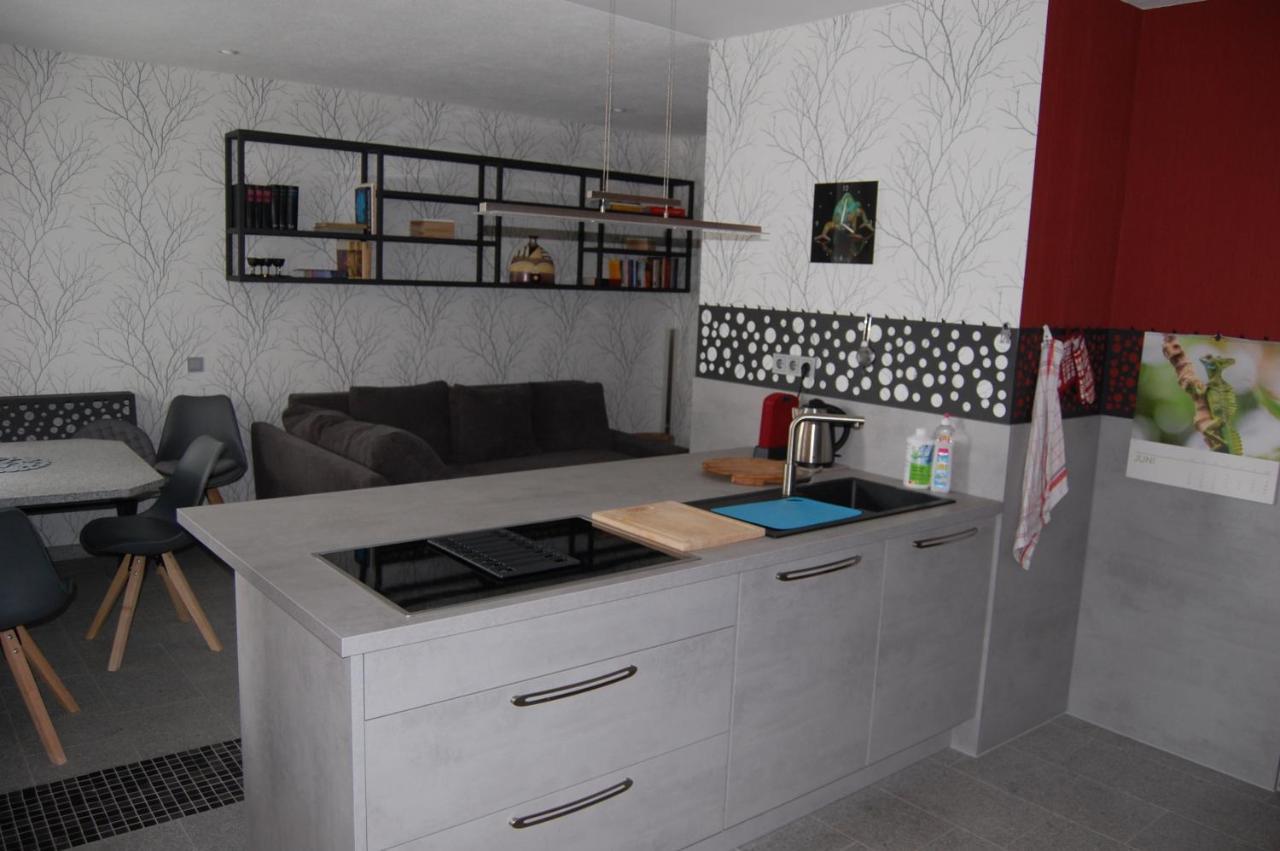 Hochwertige Ferienwohnung/Zentrumsnahe Lage! Райхенбах-им-Фогтланд Екстериор снимка